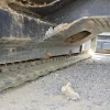 2016 CATERPILLAR 303.5E2 CR