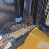 CATERPILLAR 904B 2007