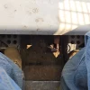2000 BOBCAT 963